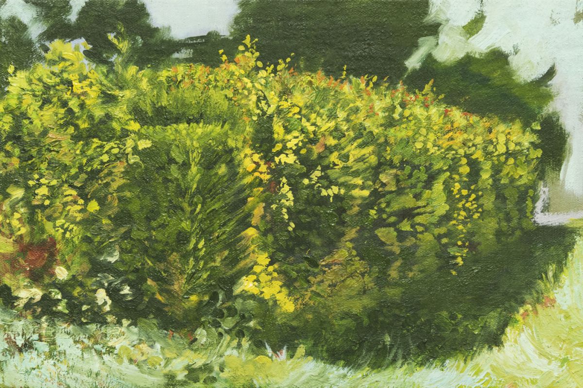 小野　有美子「Green Wall」