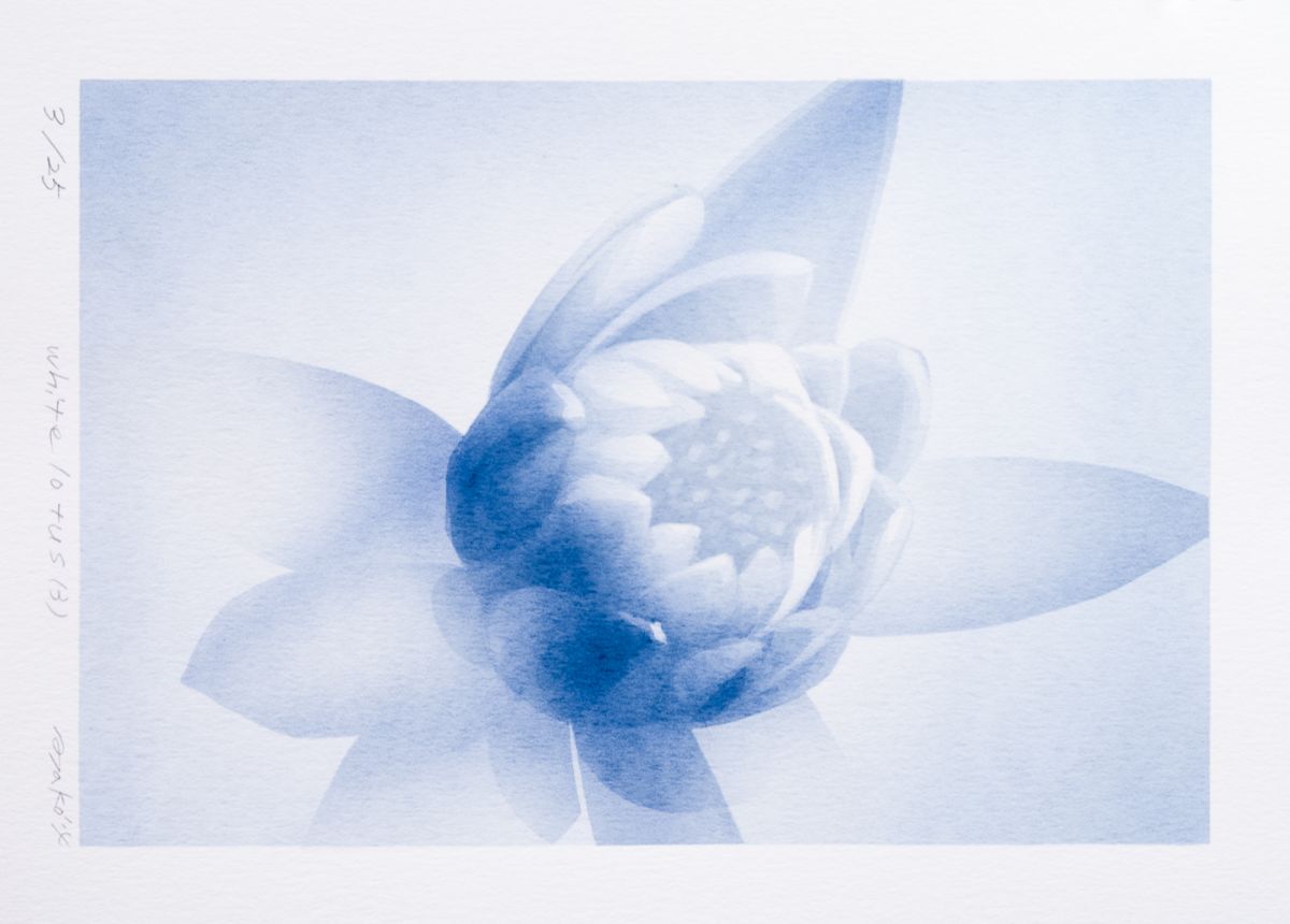 時任　亜矢子　White Lotus(2)