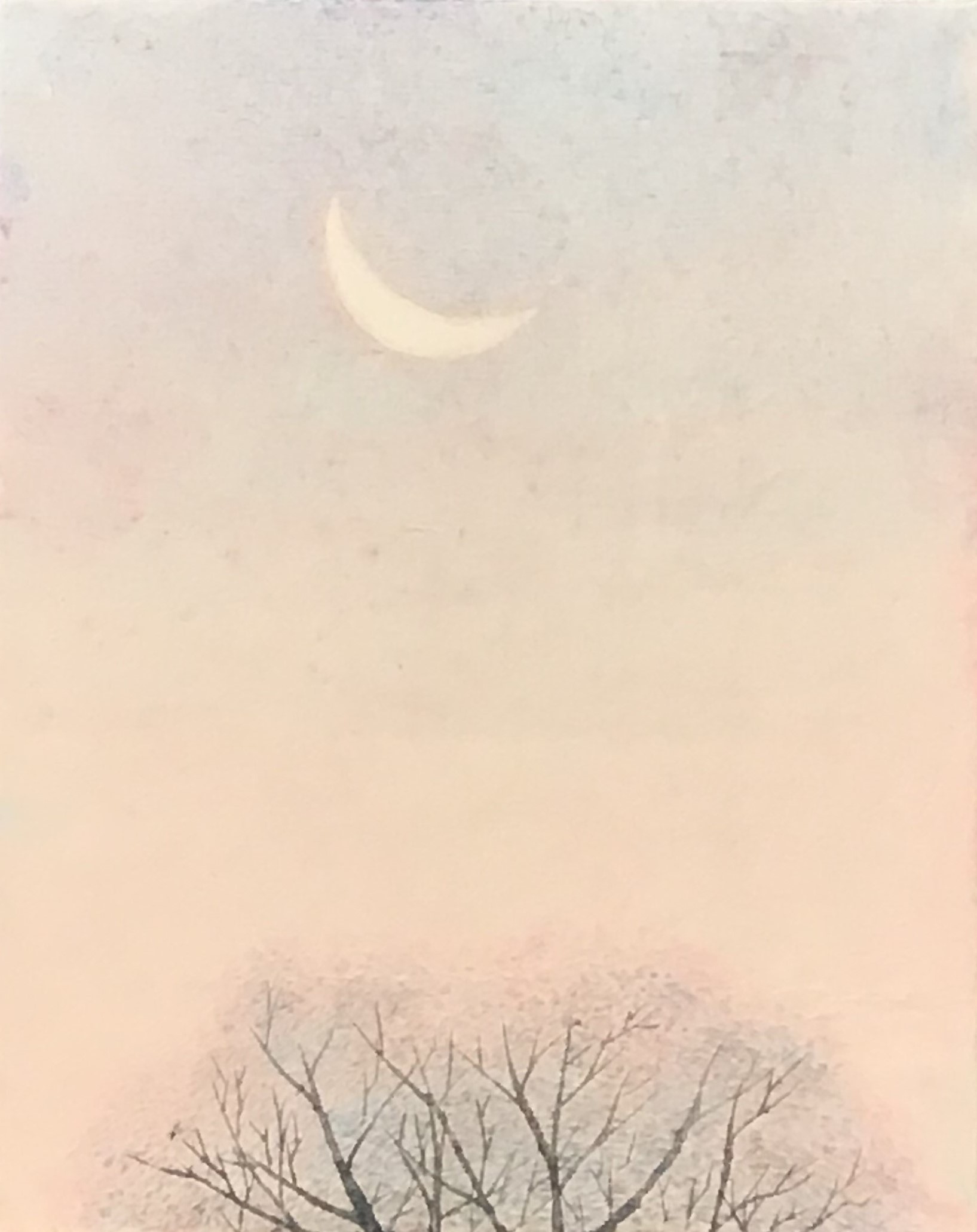 風のゆくえーe